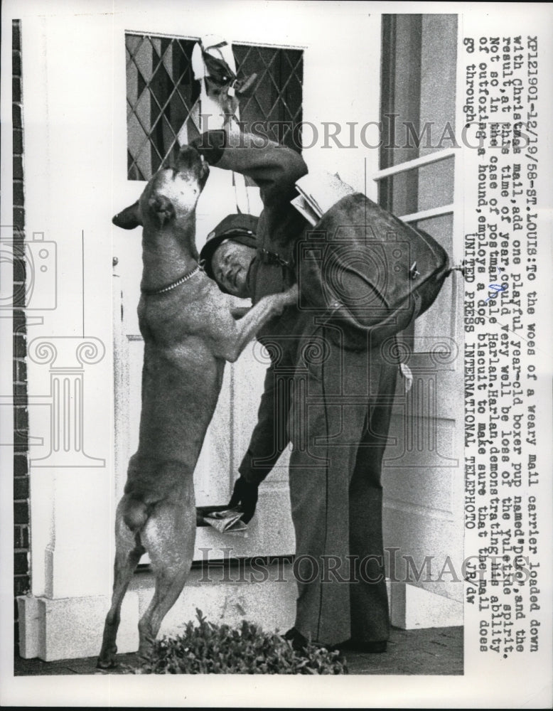 Load image into Gallery viewer, 1958 Press Photo St Louis, Mo mailman Dale Harlan &amp; a boxer pup - nec72151

