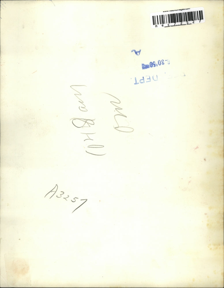 1950 Press Photo Harvard, Ill crowd & performer at Milk Day parade