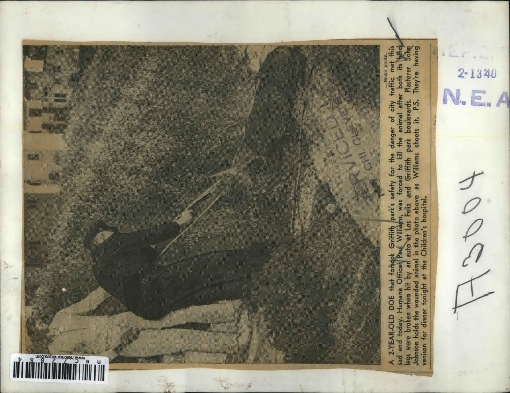 Press Photo Humane officer Paul Williams with doe killed when hit by car