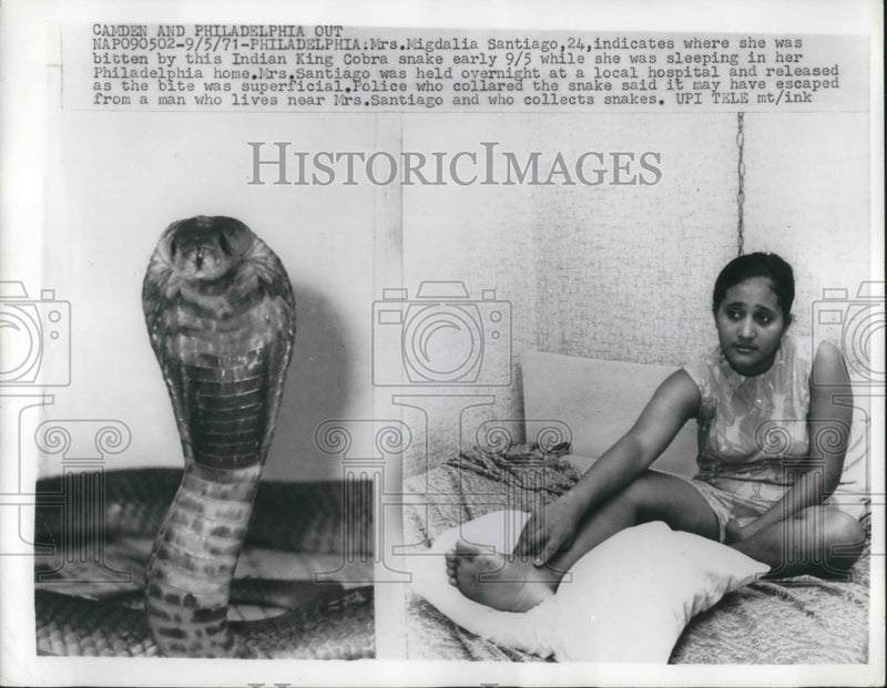 Load image into Gallery viewer, 1971 Press Photo Philadelphia, Pa Mrs Migdalia Santiago &amp; King cobra bit her
