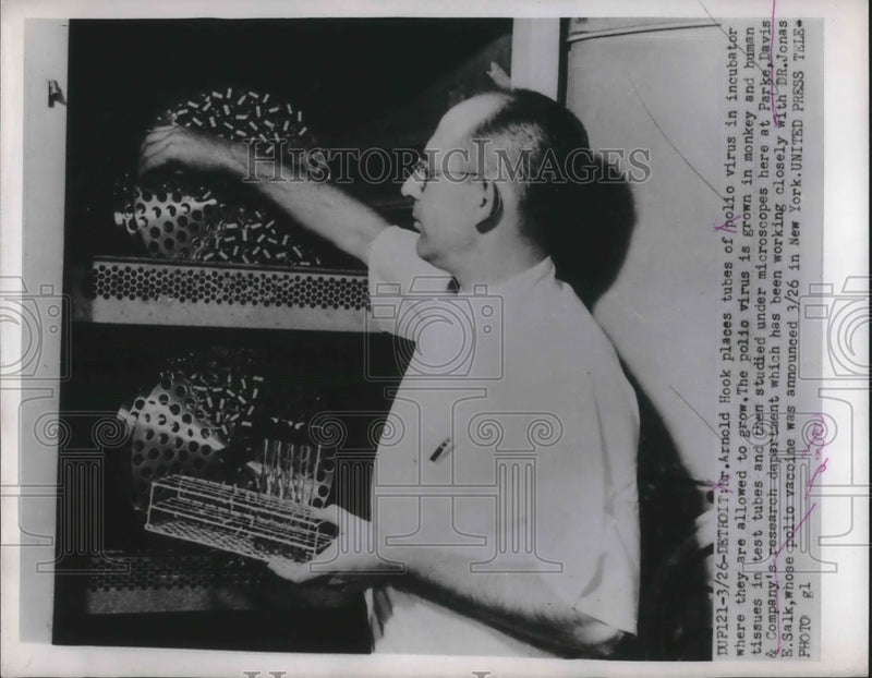 Load image into Gallery viewer, 1953 Press Photo Detroit, Mic Arnold Hook &amp; polio virus tubes at Parke Davis &amp; C
