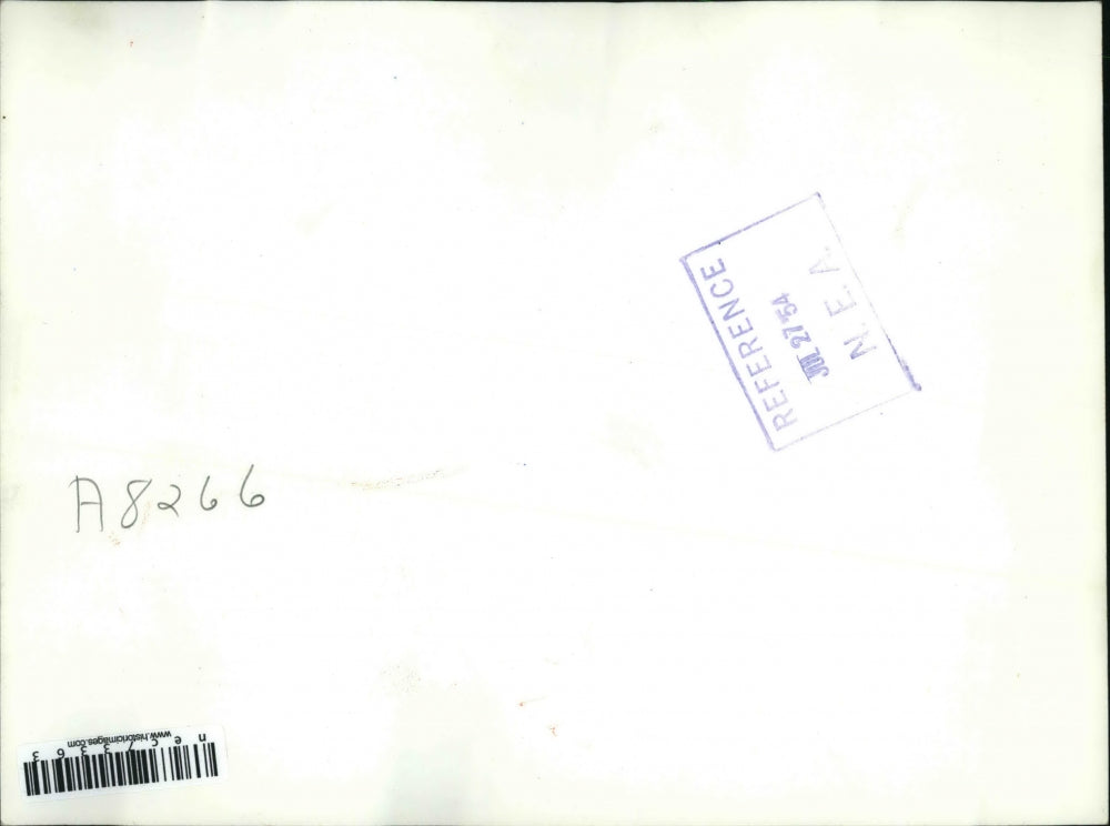 1954 Press Photo city of Rosenheim flooded by Isar River in Germany - nec73363