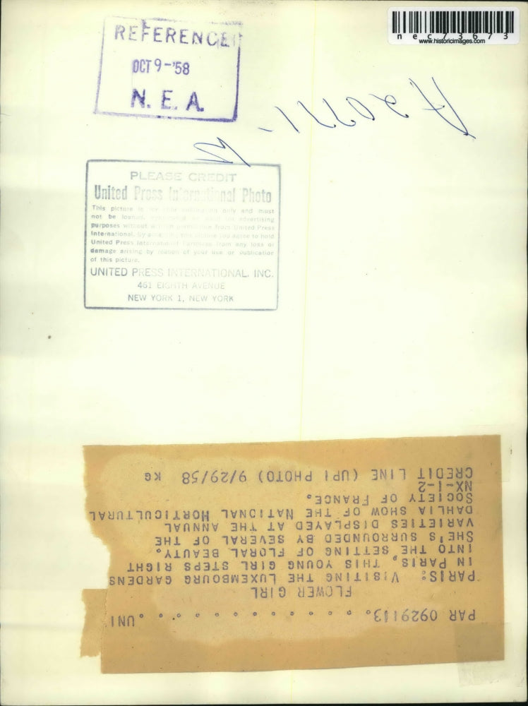 1958 Press Photo Paris, France Luxembourg Gardens girl & dahlia blooms