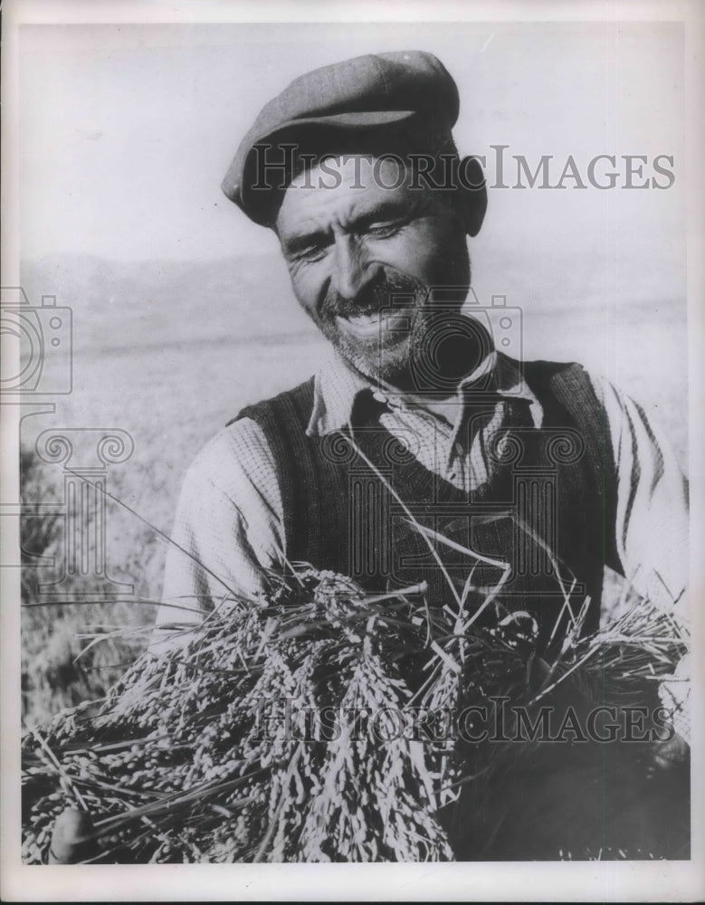 Load image into Gallery viewer, 1950 Press Photo U. S. Rebel to Europe
