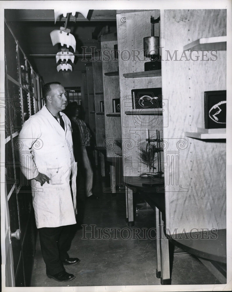 Load image into Gallery viewer, 1959 Press Photo Lab asst Otto Vitello &amp; experiment equipment
