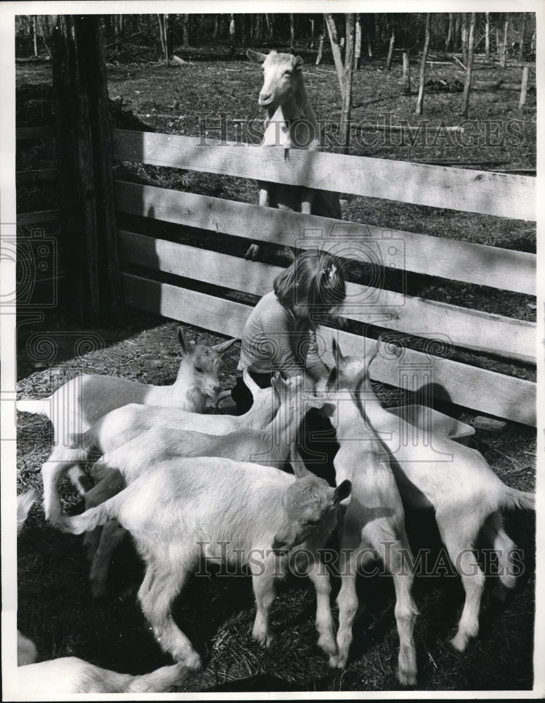 1961 Press Photo Reta Maxwell & goats at Clarkesville, Mo farm
