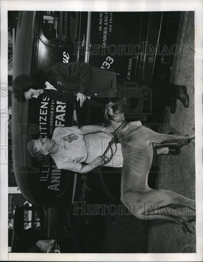 1946 Press Photo Mrs Paul Annamohr & sick Great Dane taken to her foundation