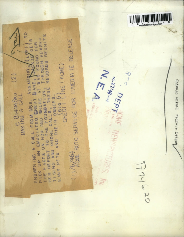 1946 Press Photo Mrs Paul Annamohr & sick Great Dane taken to her foundation