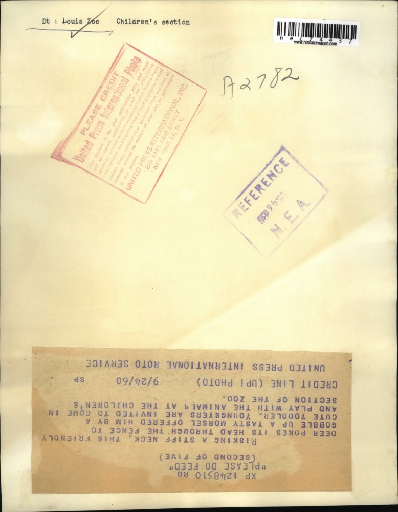 1940 Press Photo A friendly deer eats for childs hand at kids zoo