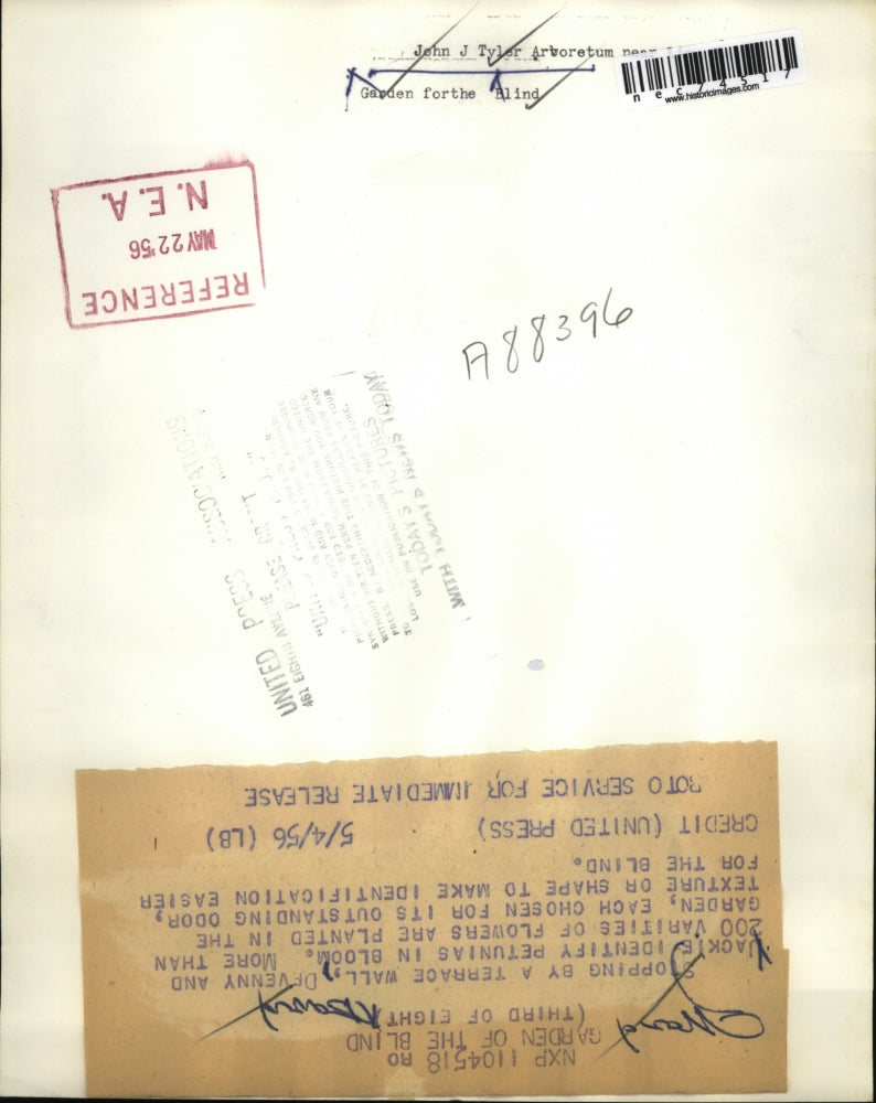 1956 Press Photo David DeVenny & Jack Ward at Garden for the blind