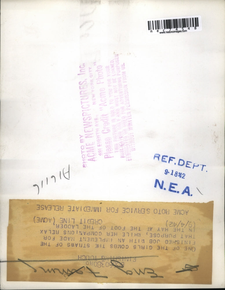 1952 Press Photo English girls comb straw on a farm