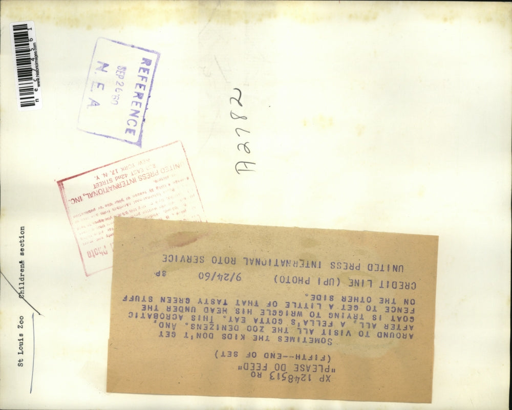 1960 Press Photo Goat Attempts to Wriggle Head Thru Fence at St. Louis Zoo