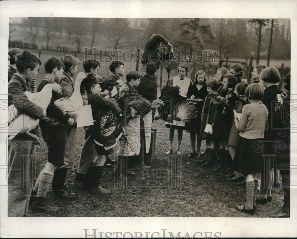 1940 Press Photo Turkeys weighed before slaughter as students learn husbandry