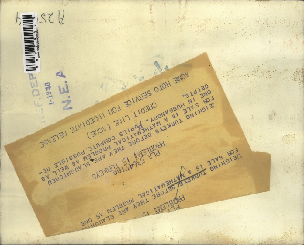 1940 Press Photo Turkeys weighed before slaughter as students learn husbandry