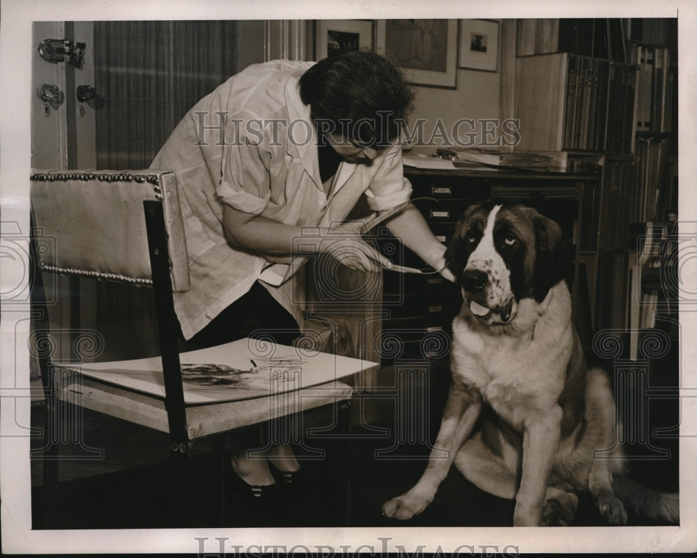 1940 Press Photo Dog Heide of Hercuveen is Measured by Calipers