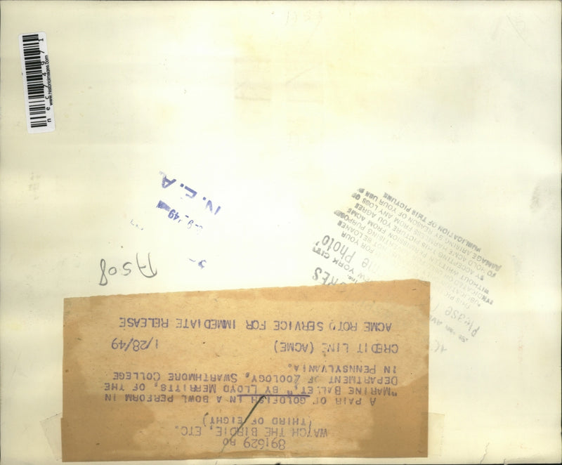 Load image into Gallery viewer, 1949 Press Photo Pair of goldfish at Swarthmore College in Pa
