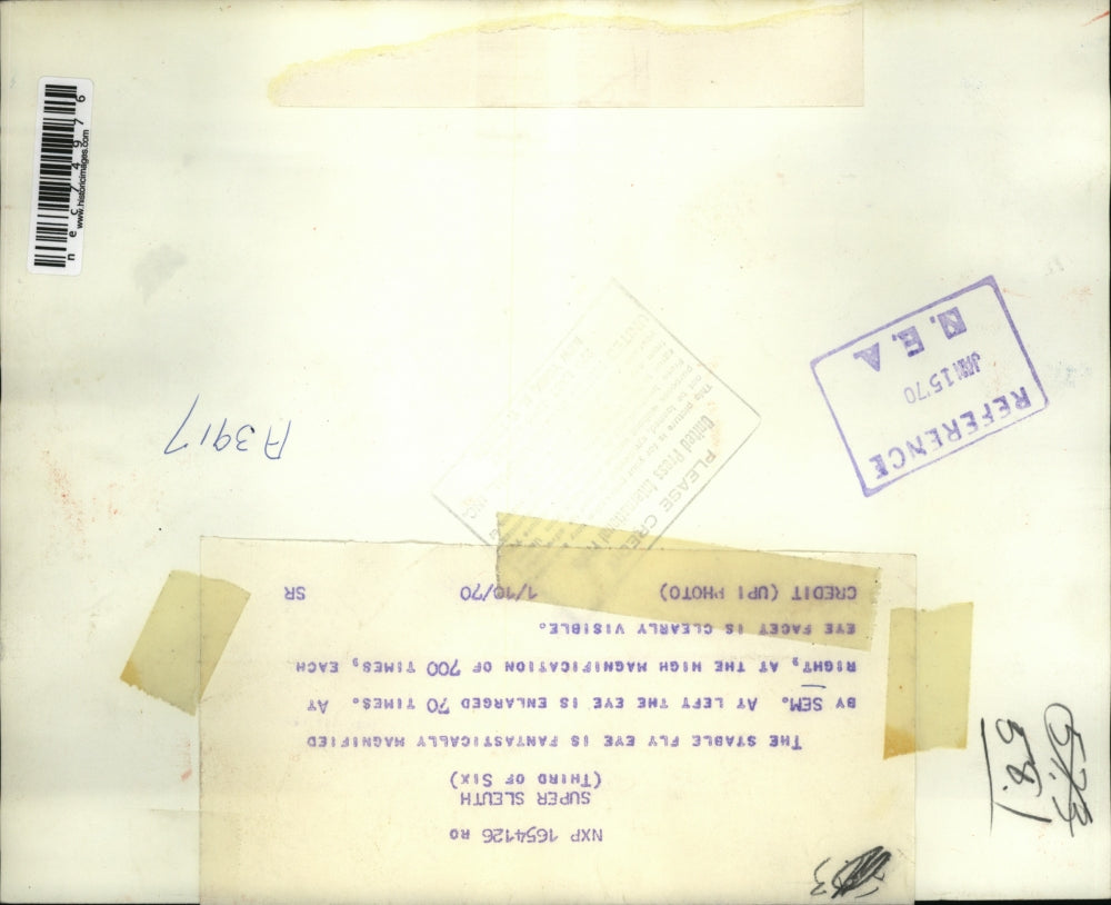 1970 Press Photo A stable fly's eye magnified 70 and 700 times