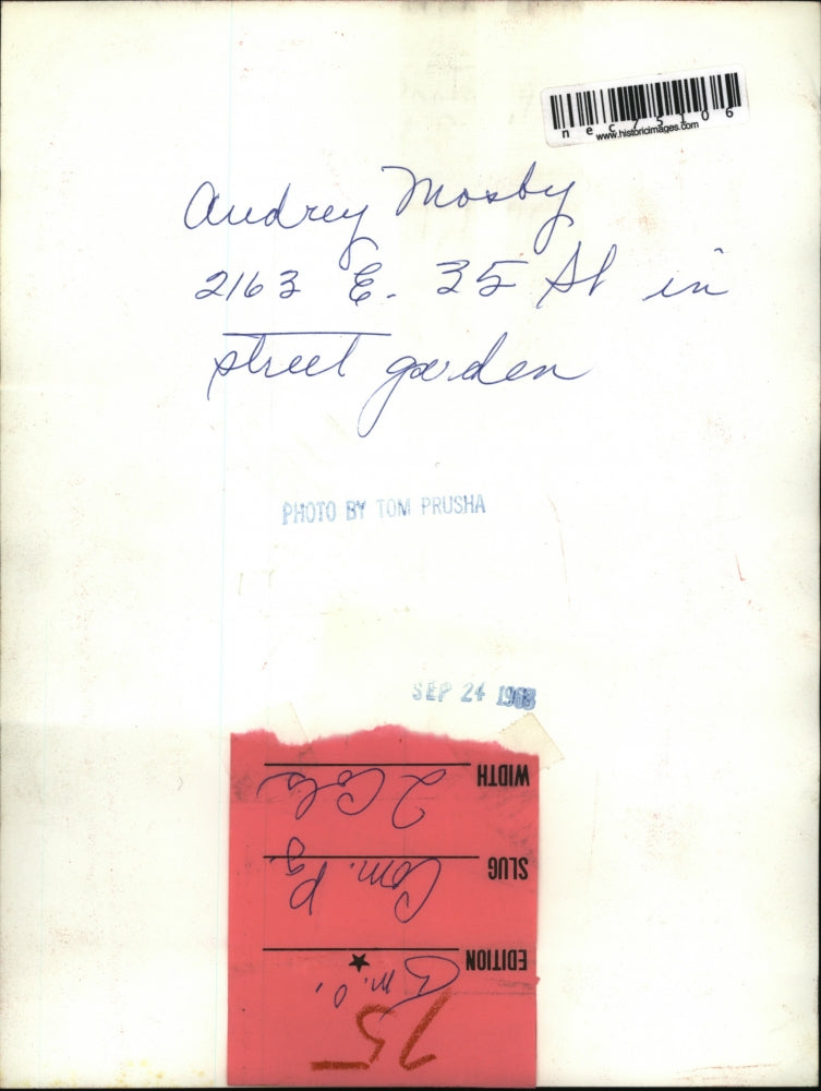 1965 Press Photo Audrey Mosby at East 35th St garden in Cleveland, Ohio