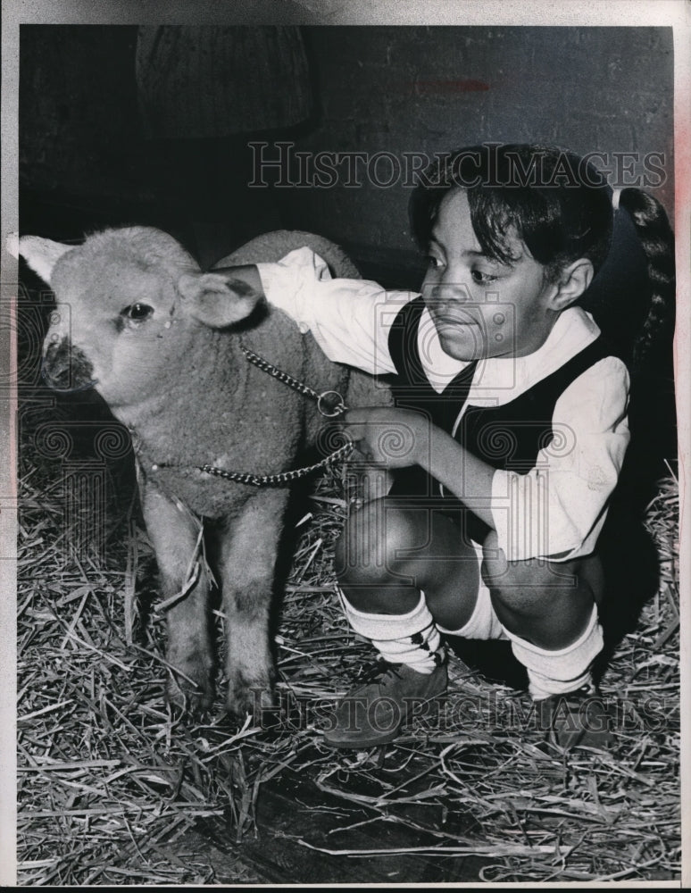 Load image into Gallery viewer, 1966 Press Photo Kim Morgan age 6 &amp; a lamb at AA Benesh school
