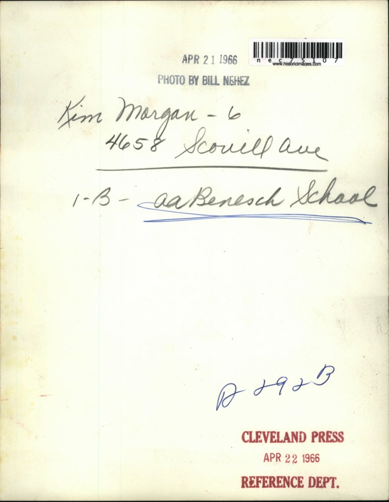 1966 Press Photo Kim Morgan age 6 & a lamb at AA Benesh school