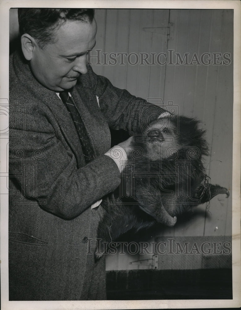 1946 Press Photo 2 toed sloth and its keeper at Cleveland zoo