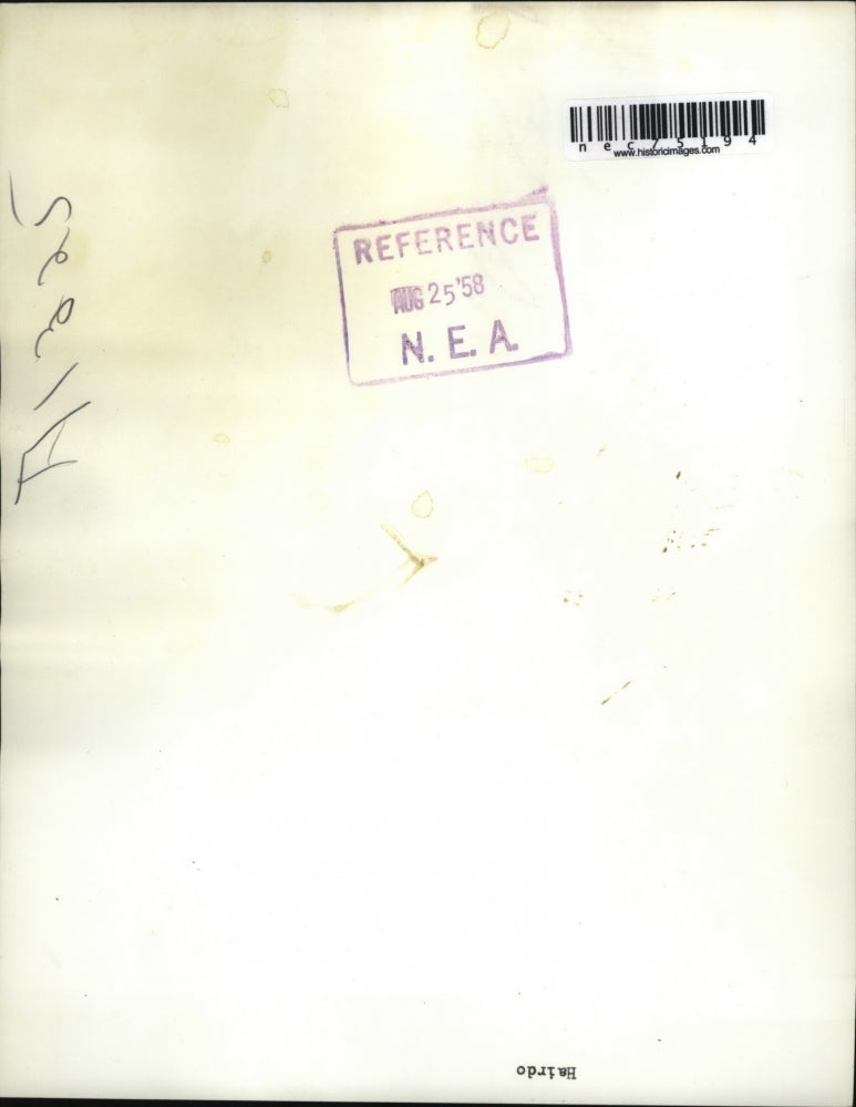 1958 Press Photo New women's hair style modeled