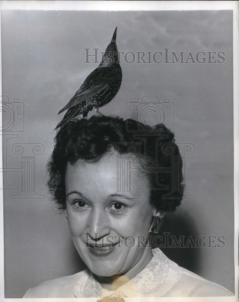 Load image into Gallery viewer, 1958 Press Photo Cinncinati Ohio Mrs John Reidy &amp; pet starling

