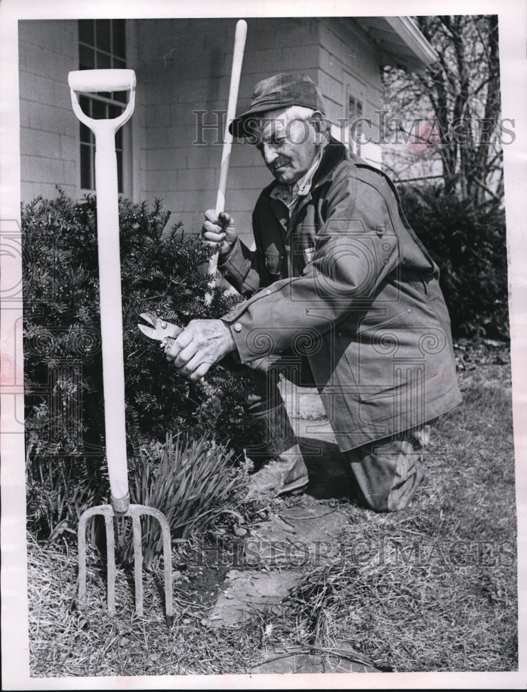 1962 Press Photo Henry Hippisley landscaping at his Cleveland home