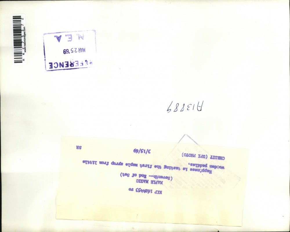 1969 Press Photo Little boys taste maple syrup from paddles at harvest time