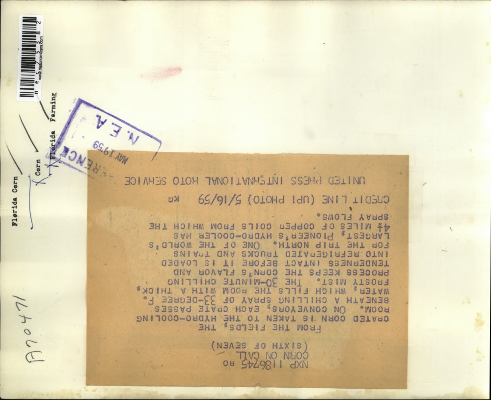 1959 Press Photo Hydro cooling room to process corn from the fields