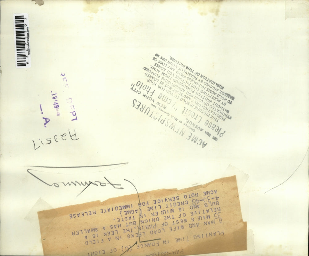 1948 Press Photo Farmer & his wife load leeks on cart in field near Paris