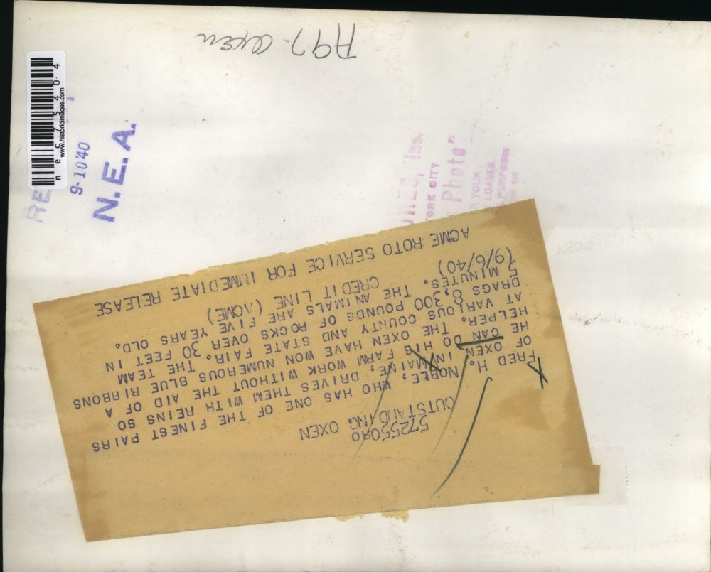 1940 Press Photo Fred H Noble & his paired oxen ready to plow a field