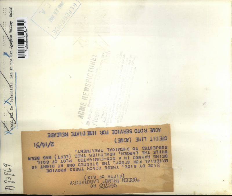 Load image into Gallery viewer, 1951 Press Photo Peach trees studied in fumigated &amp; non fumigated plots
