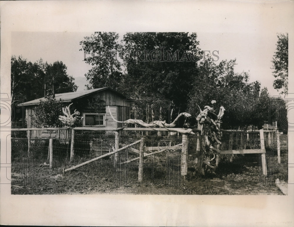 1935 Press Photo driftwood art adorn hermit's cottage in Glacier National Park