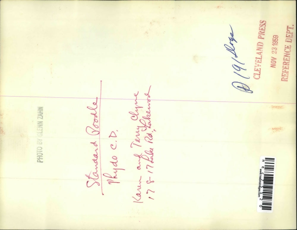 1959 Press Photo Standard Poodle Phydo C.D. Karen and Terry Klyne