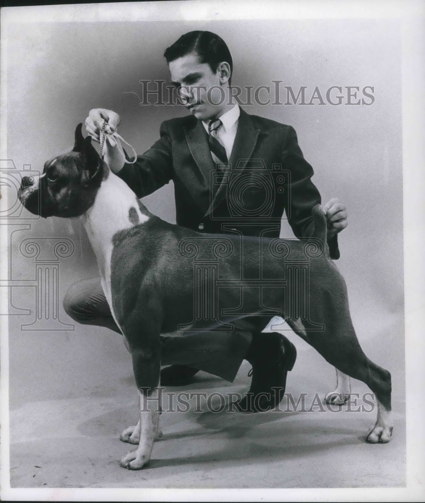 1968 Press Photo Michael Carothers and Champion Boxer Jhenpheir's Dionysus