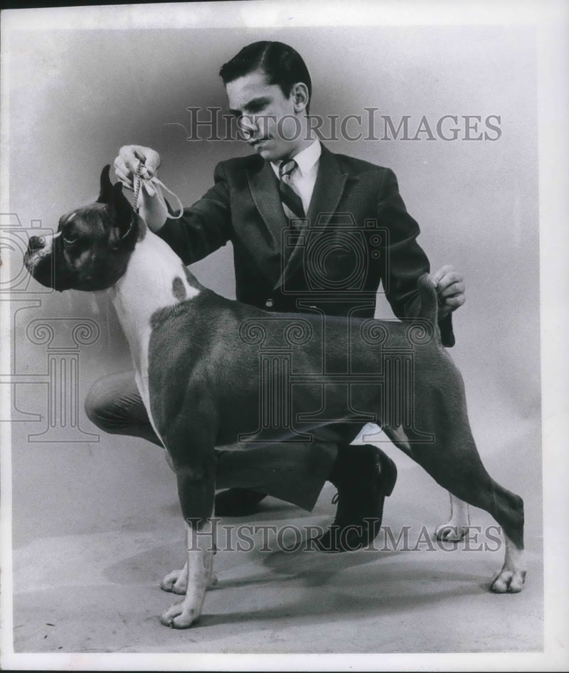 Load image into Gallery viewer, 1968 Press Photo Michael Carothers and Champion Boxer Jhenpheir's Dionysus
