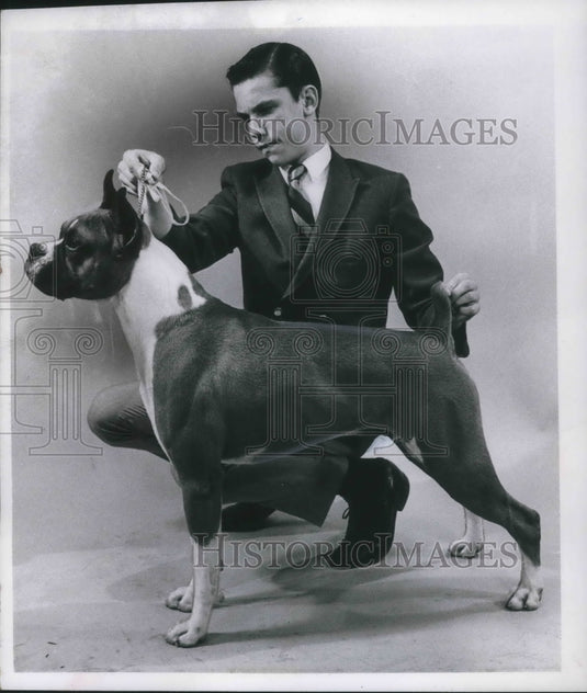 1968 Press Photo Michael Carothers and Champion Boxer Jhenpheir's Dionysus