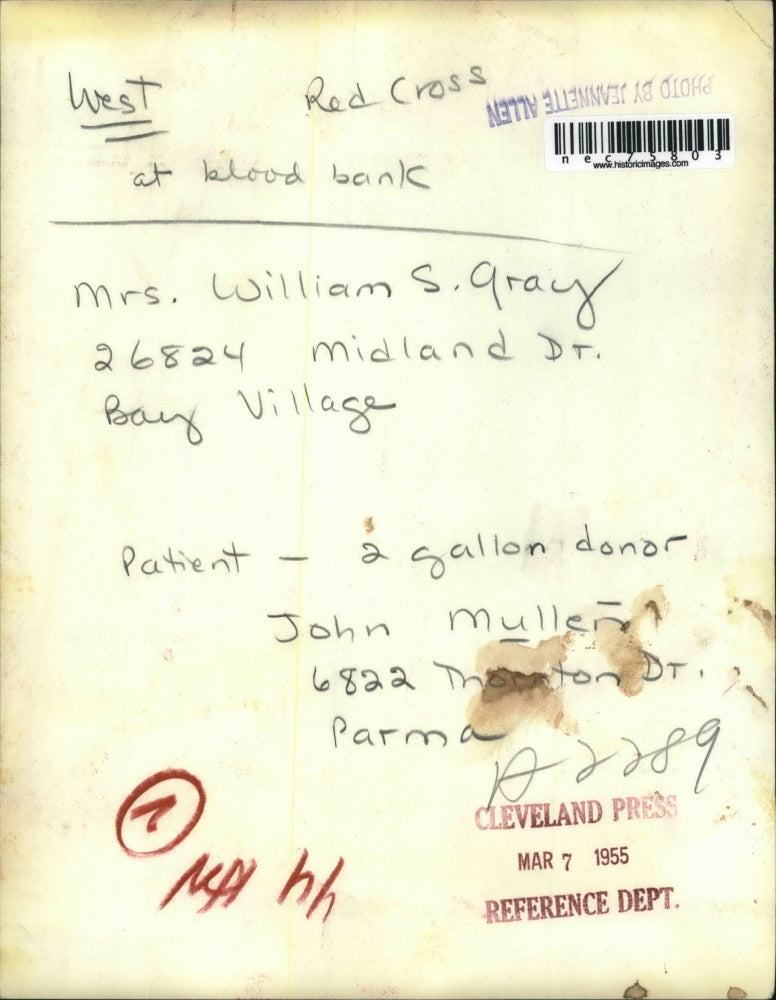 1955 Press Photo Mrs. William S. Gray Red Cross at Blood Bank