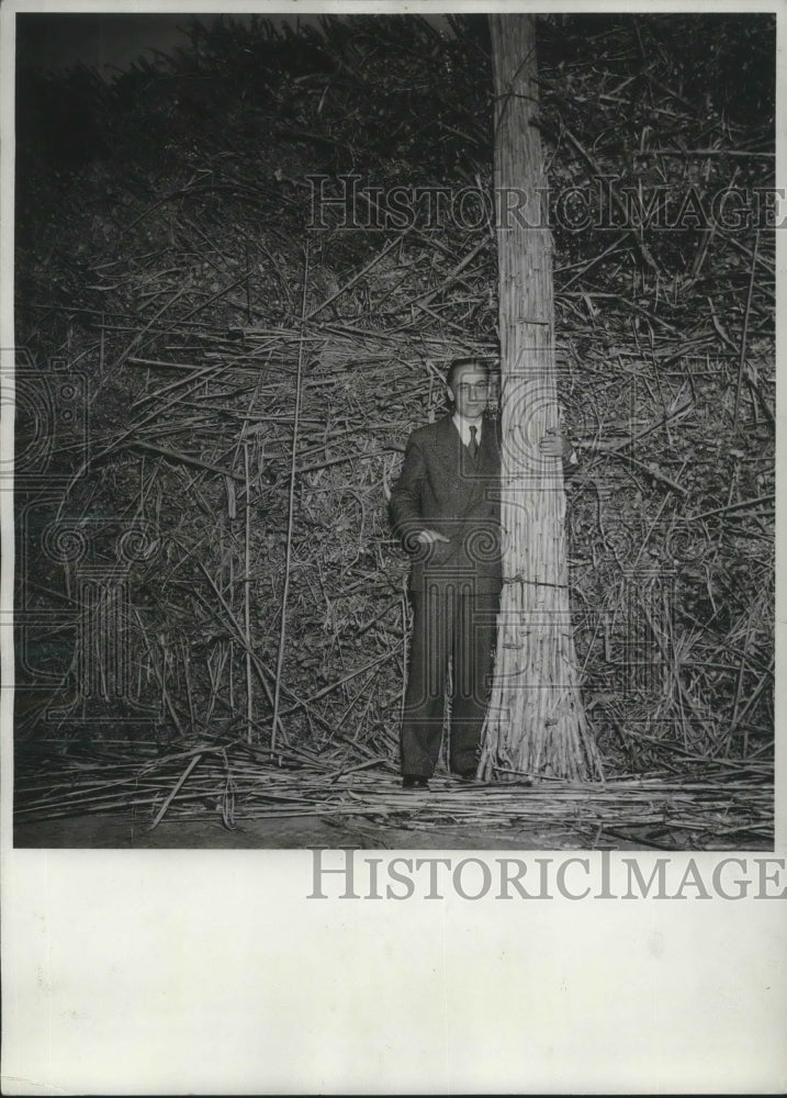 1939 Press PhotoDr. Giacinto Dibtti inventor of turning bamboo into silk