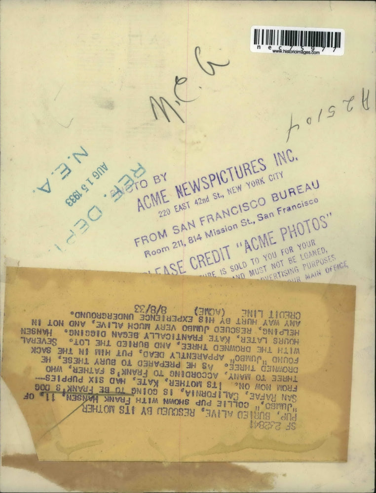 1933 Press Photo Frank Hansen at Age 11 with Pup That Was Buried Alive