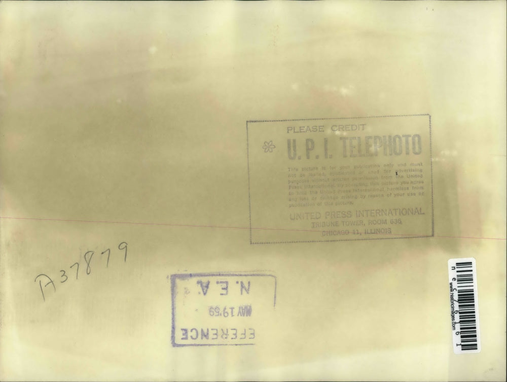 1959 Press Photo Collie dog survived when Tornado ripped apart the W.A> Box Home