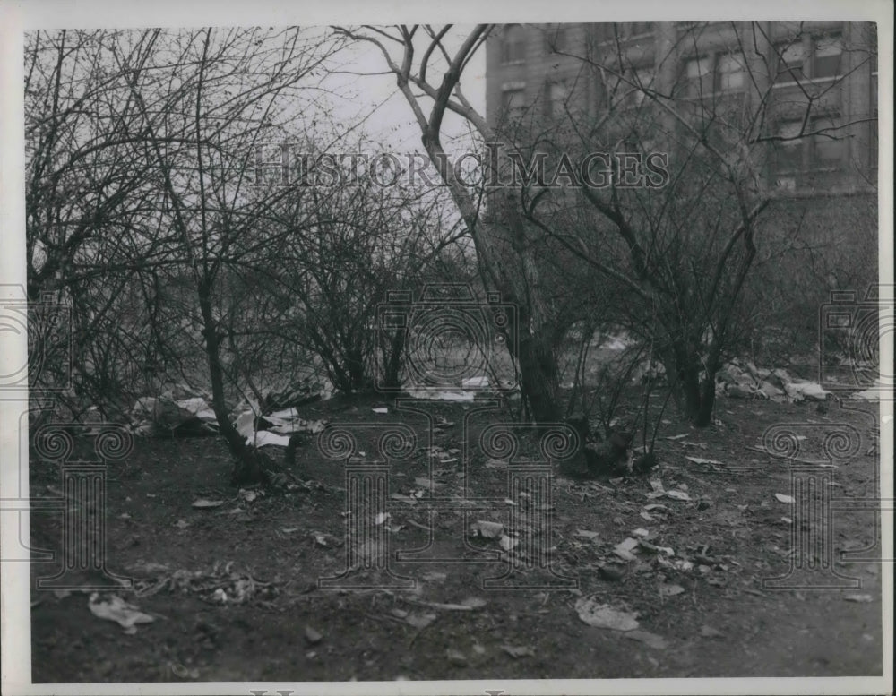 1946 Press Photo littered entrance to Edgewater Park at W. 25th & Detroit