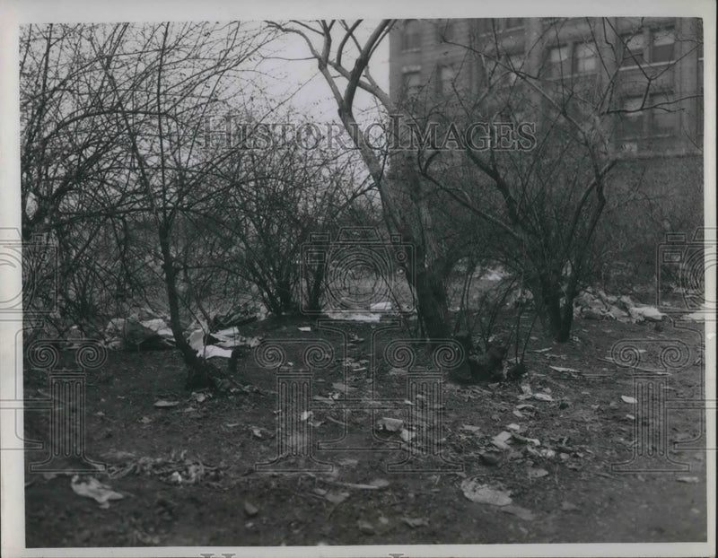 Load image into Gallery viewer, 1946 Press Photo littered entrance to Edgewater Park at W. 25th &amp; Detroit

