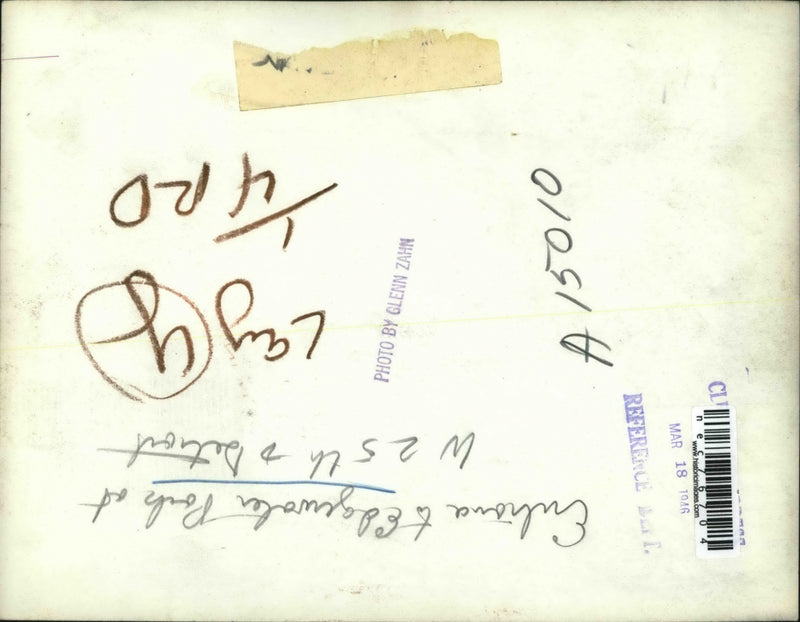 Load image into Gallery viewer, 1946 Press Photo littered entrance to Edgewater Park at W. 25th &amp; Detroit
