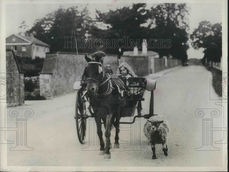 Load image into Gallery viewer, 1934 Press Photo Mary Lloyd of Shipstead Kent England in her pony cart
