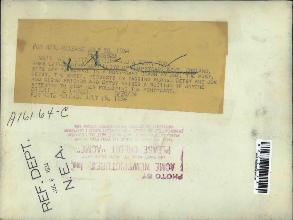 1934 Press Photo Mary Lloyd of Shipstead Kent England in her pony cart