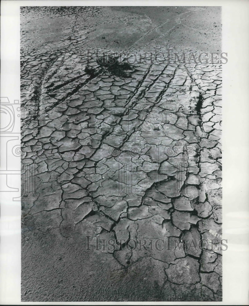 1968 Press Photo Nature's gallery of mud places