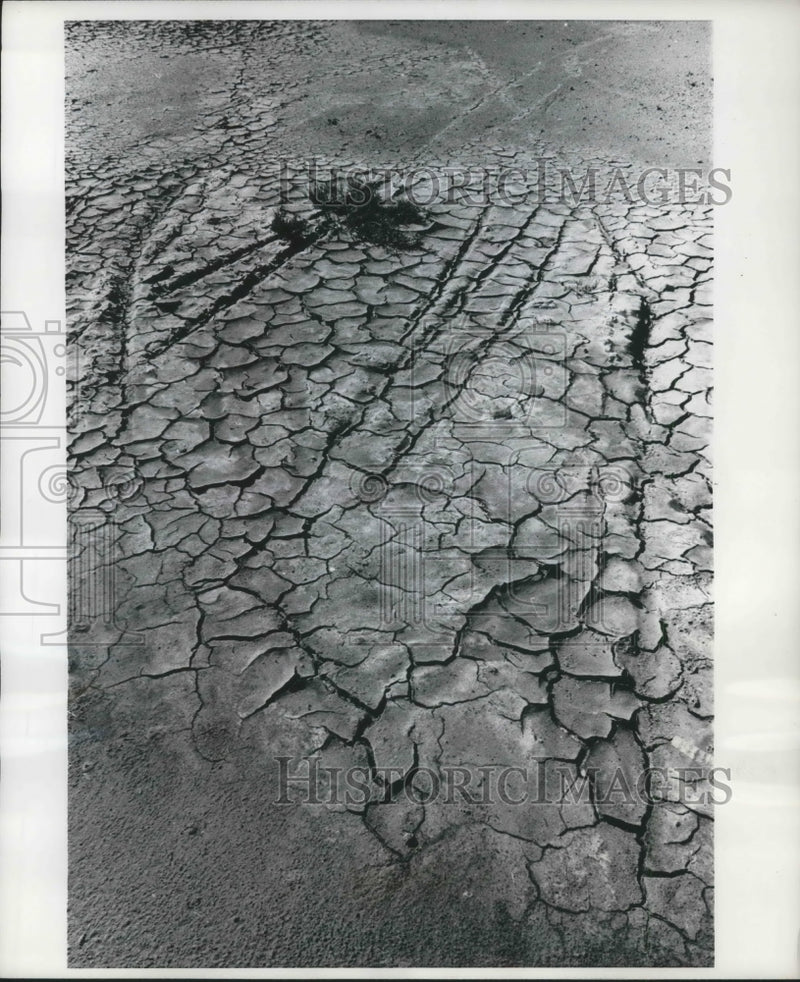 Load image into Gallery viewer, 1968 Press Photo Nature's gallery of mud places
