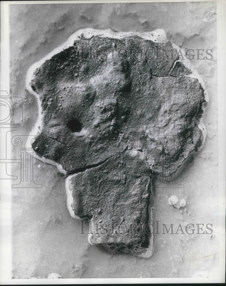 1968 Press Photo Nature's gallery of mud faces - nec76821